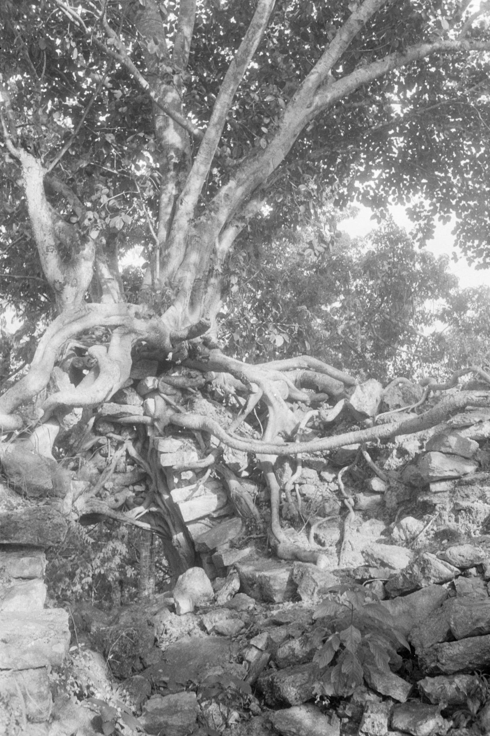 AHP FilmScan 240807 0677